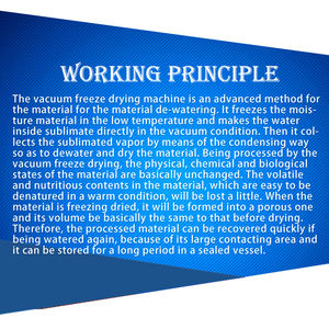 Máquina de Liofilización Automática AICN para <span class=keywords><strong>Frutas</strong></span> y Verduras, Capacidad de 300 kg - Product Image 3