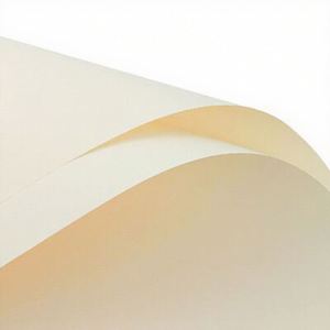 Nouveauté - Papier d'emballage épais 56x54cm de couleur unie pour bouquet et arrangement floral en boutique de fleurs - 20 feuilles/paquet - Product Image 5