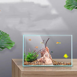 <span class=keywords><strong>Acquario</strong></span> da Tavolo Ottagonale Ecologico in Vetro Spesso 6mm con Sistema di Filtrazione e Pompa <span class=keywords><strong>d</strong></span>'<span class=keywords><strong>Acqua</strong></span> <span class=keywords><strong>per</strong></span> Soggiorno - Product Image 2