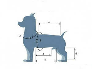 Qiqu fournitures pour animaux de compagnie personnalisé nouveau designer chien pull jersey <span class=keywords><strong>teckel</strong></span> vêtements deux tons neutre pull wiener chiens pour petits chiens - Product Image 6