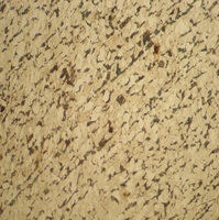BestScope BS-6002TTR Reflected and Transmitted Trinocular Metallurgical Microscope for Metal and Alloy Observation
