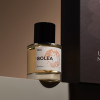 Vente en gros de flacons de parfum vides en verre transparent de qualité supérieure, 30 ml, 50 ml, 100 ml, avec vaporisateur de parfum unique, bouchon magnétique noir, estampage à chaud