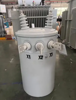 Transformateur monophasé 11KV 50KVA monté sur poteau, distribution aérienne extérieure, haute fiabilité