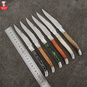 Ensemble <span class=keywords><strong>de</strong></span> couteaux à Steak avec manche en <span class=keywords><strong>bois</strong></span> coloré, accessoires <span class=keywords><strong>de</strong></span> <span class=keywords><strong>Table</strong></span> tranchante, ChenChuJi <span class=keywords><strong>Laguiole</strong></span> cadeau - Product Image 2