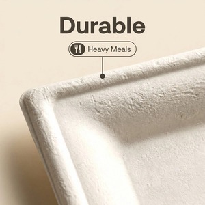 Platos Desechables de Caña de Azúcar de 10 Pulgadas, Platos de Papel al por Mayor <span class=keywords><strong>para</strong></span> Catering - Product Image 4