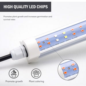 ไฟปลูกต้นไม้ LED T8 ขนาด 120 ซม. 30 วัตต์ ยี่ห้อ <span class=keywords><strong>Samsung</strong></span> พร้อมปลั๊ก  กันน้ำ IP65 สเปกตรัมปรับแต่งได้ สำหรับปลูกไมโครกรีนและผักกาดหอมในร่ม - Product Image 3