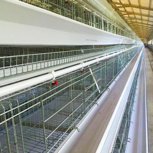 Gallinas <span class=keywords><strong>de</strong></span> <span class=keywords><strong>gallo</strong></span> automáticas Capa <span class=keywords><strong>de</strong></span> cría mixta Jaula <span class=keywords><strong>de</strong></span> batería <span class=keywords><strong>de</strong></span> pollo Equipo <span class=keywords><strong>de</strong></span> cría para poner Pollo <span class=keywords><strong>de</strong></span> 20000 capas - Product Image 2