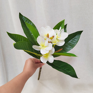 Nouvelle arrivée : Fleur de <span class=keywords><strong>Plumeria</strong></span> imprimée en 3D réaliste avec tige flexible - <span class=keywords><strong>Plante</strong></span> artificielle au toucher réel pour vase, centre de table - Product Image 6