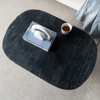 Table basse ovale de style moderne du milieu du siècle avec rangement, facile à nettoyer, meubles de salon