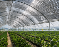 Filet d'ombrage agricole extérieur personnalisé en aluminium 4x50m/6x50m, filet pare-soleil réfléchissant, directement du fabricant