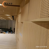 Panneaux acoustiques muraux et de plafond décoratifs modernes ignifuges, structure sandwich micro-perforée en MDF, étanches et insonorisants