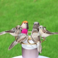 Lebensechter Spatz Miniatur-Kunstvogel mit echten Federn, handgefertigt, realistische Vogel-Dekoration oder interessantes Haarschmuck-Accessoire.