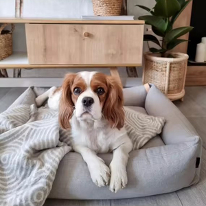 Cama para Perro de Diseño Desmontable de Alta Gama y Lujo, Rectangular, Ultra Suave, con Borde Reforzado, Acogedora y Lavable - Product Image 3
