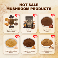 Poudre d'AHCC soluble dans l'eau BSTBIO, polysaccharides 10% 30% 50%, extrait de champignon shiitake biologique