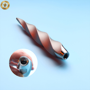 Vis sans fin en acier inoxydable de précision de qualité alimentaire 304 / 316L OEM / ODM pour le traitement des aliments et les systèmes de transport industriels - Product Image 1