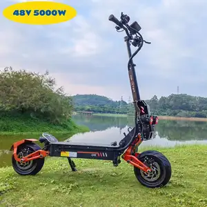 Offroad Opvouwbare Draagbare Off-Road Dual Motor 12 ''48V 5000W Twee Wielen Volwassen Elektrische Kick Scooter 35ah Batterij E Scooter