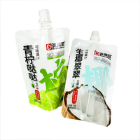 Emballage personnalisé en sachet souple en plastique Mylar durable avec bec verseur pour lait et jus de fruits
