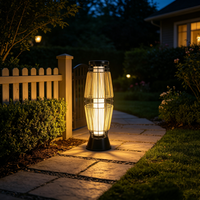 Lampes solaires décoratives pour allées de jardin, étanches, à LED, alimentées par l'énergie solaire, pour pelouse, patio, cour, aménagement paysager
