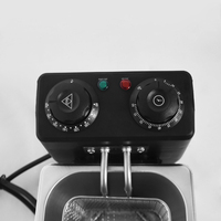 Penggorengan Listrik Mini 4 Liter Dengan Timer untuk Rumah 2000W Electrische Domestique Poulet Electrique Friteuse