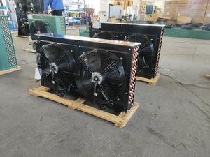 Condensador monofásico, FNH-<span class=keywords><strong>22</strong></span> de 220 kw, 2 ventiladores, 6,4 v, 60HZ, <span class=keywords><strong>precio</strong></span> competitivo, gran oferta - Product Image 4