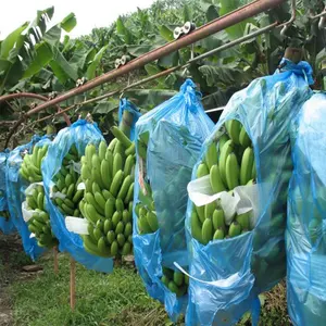 Fabriek Levering Anti-uv Pp Spunbond Niet-Geweven Antistatische Landbouw Fruit Cover Bescherming Polyethyleen Zakken Voor Banaan Ba