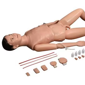 Mannequin de formation multifonctionnel pour les soins aux patients en sciences médicales, simulateur de soins infirmiers et de RCP pour l'enseignement - Product Image 3