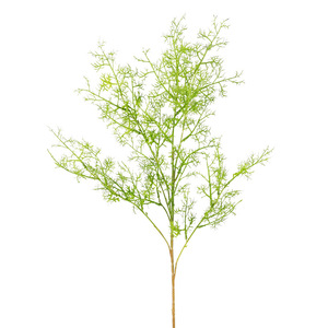 Qihao Helecho Artificial de Espárrago 100cm 200cm Decoración Interior para Bodas Planta de Plástico Suave Adorno de Vegetación - Product Image 4