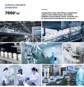 Cápsulas de Mio-D-Chiro-Inositol de Alta Pureza, Vitamina B8, Folato, Sin GMO, Sin Gluten, Suplemento para el Equilibrio Hormonal Femenino, OEM - Product Image 5