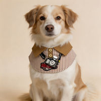 GOGOMIO Ensemble de Bavoirs Réfléchissants Pliables pour Animaux de Compagnie, Design Mignon, en Coton Doux, Accessoires de Vêtement Ajustables pour Petits Chiens et Chats