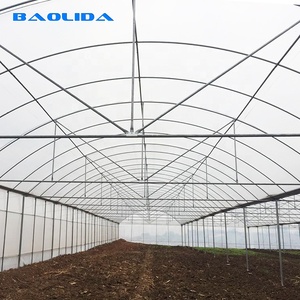 Invernadero Agrícola Multiusos de Gran Tamaño para Cría de Caracoles, de Polietileno de Una Sola Capa - Product Image 6