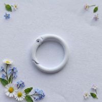 Anneau à ressort coloré en alliage de zinc de 23 mm, accessoire métallique pour sac, anneau rond à ressort, anneau ouvert en O, personnalisable, dernière nouveauté
