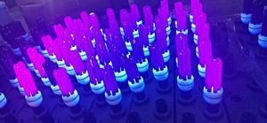 CFL économie d'énergie et <span class=keywords><strong>Fluorescent</strong></span> 2U 3U B22 E27 85-265V lumière fluorescente lampe piège à insectes lumière violette lampe de contrôle des insectes farmin - Product Image 4