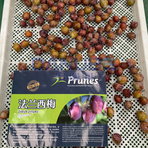 เครื่องอบแห้งลูกพรุนแบบปั๊มความร้อนพร้อมคุณสมบัติพิเศษ สายการผลิตเครื่องอบแห้งลูกพรุน เครื่องขจัดน้ำออกจากลูกพรุน - Product Image 5