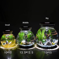 Terrarium en verre micro-paysage avec lumière, récipient en verre borosilicate fait main, pot en verre rond transparent avec couvercle en liège