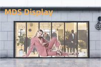 Écran d'affichage transparent haute résolution couleur étanche pour publicité vidéo sur fenêtre MDS P3.91 P6.66 P10