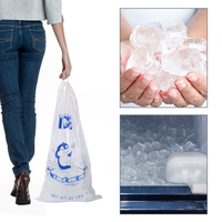 Sac à glace en PE transparent avec cordon de serrage, grande capacité, robuste, support pour glaçons, qualité alimentaire, logo personnalisé, fournitures pour supermarchés et maison