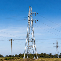 Tour de transmission galvanisée à chaud en acier cornière et en acier tubulaire pour projets de réseaux électriques haute tension 110KV 220KV