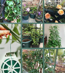 HY Jardinería y horticultura Flores y árboles Agrupación de alambre 20/30 metros 50 metros 100 metros Herramientas de hardware hortícola - Product Image 2