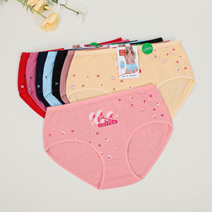 UOKIN Bragas de Moda para Mujer, Estilo Abuela, Cintura Alta, Sexy, Lindas, con Estampado Floral, Ropa Interior para Mujeres Gorditas, Talla XXXL - Product Image 1