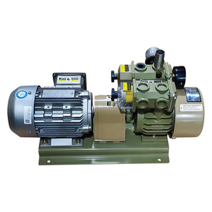 Pompe à vide industrielle sans huile Isge Wzb-P-B 22 m³/h 100 000 Pa en fonte et acier inoxydable - Product Image 2