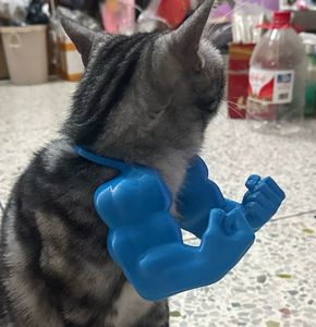 Accesorios <span class=keywords><strong>para</strong></span> mascotas con impresión en 3D <span class=keywords><strong>para</strong></span> gatos, compañero <span class=keywords><strong>para</strong></span> deportes y entretenimiento, características del brazo de <span class=keywords><strong>Hulk</strong></span> - Product Image 5