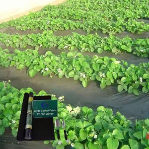 Tela de Jardín Resistente de 2.8oz, Transpirable, Impermeable, Antiestática, Ligera, de Polipropileno No Tejido, con Diseño de Puntos/Liso - Product Image 6