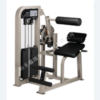 XINRUI Fabricant d'équipement de fitness professionnel Équipement de fitness commercial Machine d'extension du dos pour la salle de sport