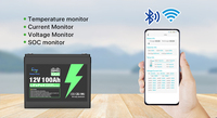 Batterie al Litio LiFePO4 12V 24V Dirette dalla Fabbrica, 50Ah 100Ah 150Ah, Batteria per Accumulo Energia Solare Domestica, Batteria al Litio a Ciclo Profondo