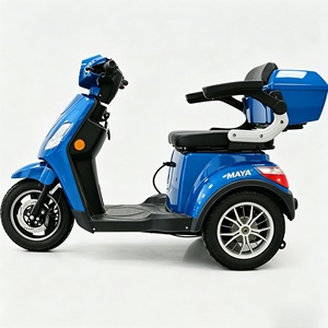 Triciclo Elettrico per Anziani 2026 OEM ODM con Pneumatici Larghi, Tre Ruote e Due Posti - Product Image 5