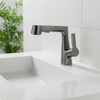 Robinet de lavabo gris, mitigeur, poignée à levier, robinet de lavabo de salle de bain extractible, eau chaude et froide