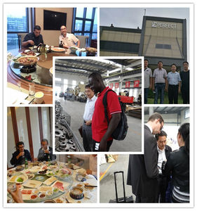 6305 रोलर असर उत्पाद श्रेणी के लिए गृह आधार दबाया स्टील बेल्ट कन्वेयर इडलर रोलर असर - Product Image 6