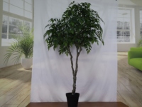 Künstlicher 2-Zweig Ficus-Baum mit Dicken Stielen aus Kunststoff mit Echtem Aussehen für Innenräume, Bonsai-Baum zur Gartendekoration
