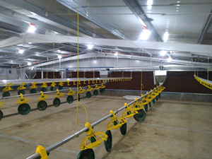 Automatic Feed Pan in Poultry Farm Pan <strong>Feeder</strong> Hi Quality Pan <strong>Feeder</strong> for Chicken ,<strong>Duck</strong>,Goose,Broiler,Breeder Green-yellow Color - Product Image 5