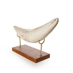 Adorno <span class=keywords><strong>de</strong></span> Resina <span class=keywords><strong>de</strong></span> Diente <span class=keywords><strong>de</strong></span> Gato con <span class=keywords><strong>Dientes</strong></span> <span class=keywords><strong>de</strong></span> Espada SKE55, Decoración Creativa para el Hogar, Artesanía Hecha a Mano para Exhibición en Estantes y Colección - Product Image 6